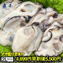 【早割4699円終了後5500円】かき ...