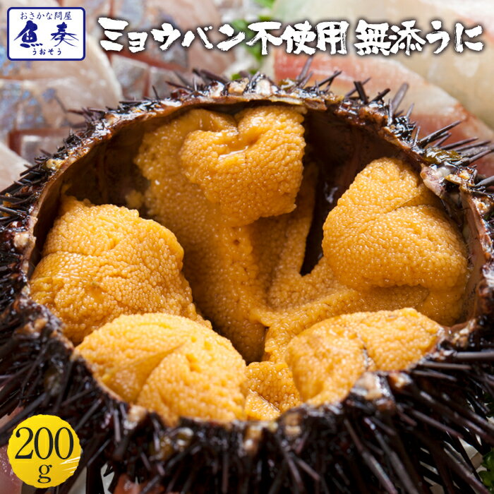 【期間限定3800円】 うに 雲丹 ウニ 冷凍生うに 無添加 200g 100g×2パック うに丼約4杯分のお試しサイズ 送料無料【ウニ ウニ丼 刺身 うにパスタ うにスパゲッティ うに軍艦 お取り寄せ 無添うに 無添加うに うに ミョウバン不使用 おかず セット