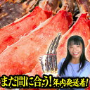 【まだ間に合う!年内着】 生 タラバ蟹 特大 1kg 特大 タラバガニ 脚 1kg 2~3人前 送料無料 タラバ蟹 かに カニ 蟹 カニしゃぶ タラバ たらばがに 身入りの良い5L 特大 総重量1kg前後 かに カニ 生たらば たらば 生タラバ タラバ たらば蟹
