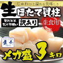 【期間限定15000円→9800円】【レビュー高評価!】【訳...