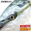 ぶり ブリ 鰤 寒ブリ 1尾 約5kg 大分産 お刺身用 送...