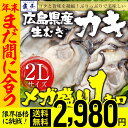 【2個買いで500円OFFクーポン!】【 年内着!年内最後の限界価格 】かき カキ 牡蠣