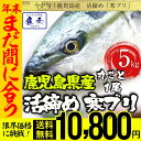 【 年内着!年内最後の限界価格 】ぶり ブリ 鰤 寒ブリ 1...