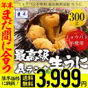 【 年内着!年内最後の限界価格 】【最安値に挑戦中】うに 雲丹 ウニ 冷凍生うに 無添