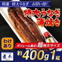 【期間限定1680円→1280円!】【超ウルトラビッグサイズ...