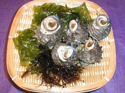 ιᤢդ볤ι10ĥåȡڤ㤤ʪޥ饽0611̵ۡ