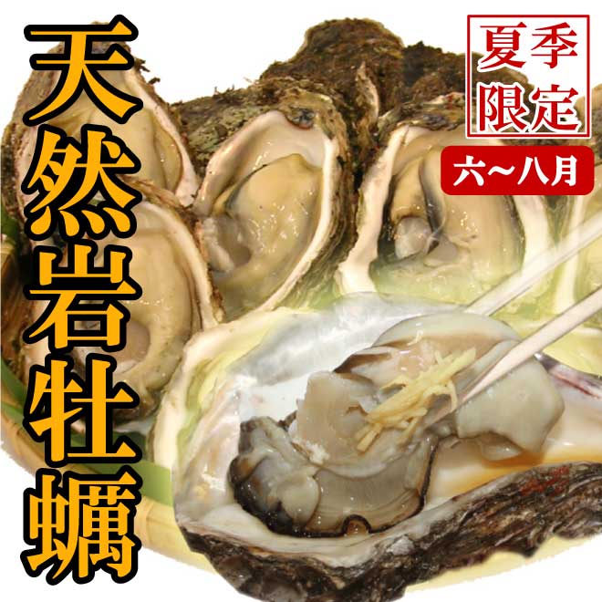 【夏季限定】天然岩牡蠣（割ってお届け）夏の今が旬！日本海産天然岩牡蠣