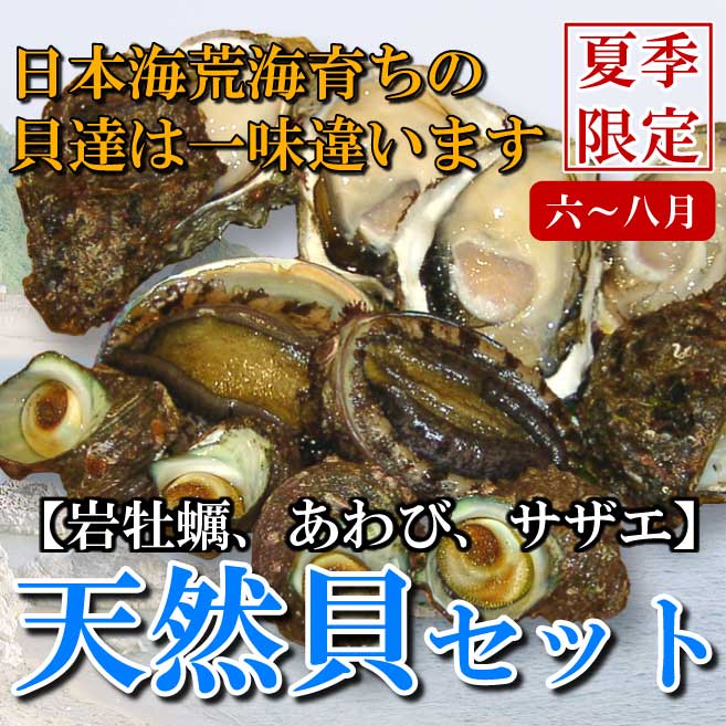 【送料無料】天然貝セットB（岩牡蠣、あわび、サザエ)