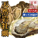 【日本海産】天然岩牡蠣《割ってお届け》10個セット 【日本海産】天然岩牡蠣《割ってお届け》10個セット