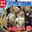 【送料無料】天然岩牡蠣(殻を割ってお届け)8個 セット 「父の日」 【送料無料】天然岩牡蠣(殻を割ってお届け)8個 セット 「父の日」