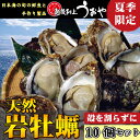 【日本海産】天然岩牡蠣10個セット《殻を割らずにお届け》 【日本海産】天然岩牡蠣10個セット《殻を割らずにお届け》
