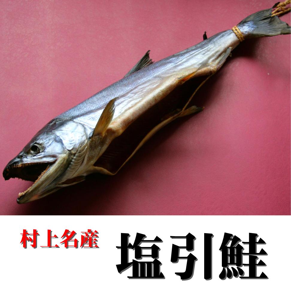 村上名産　塩引鮭（5.5kg）【丸のまま】
