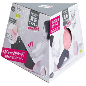 腹筋クッションミニ&ハードDVD付きマーナ【送料無料】:【smtb-u】【sp_0128】