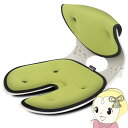 【12/1限定エントリーで当店全品最大7倍】OriBack オリバックチェア グリーン 骨盤 姿勢 サポートチェア H2021-OR-grn【/srm】