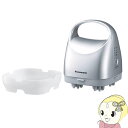 パナソニック 頭皮エステ 皮脂洗浄タイプ シルバー EH-H...