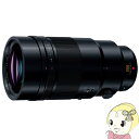 パナソニック 一眼カメラ用レンズ LEICA DG ELMARIT 200mm/F2.8/POWER O.I.S. H-ES200【smtb-k】【ky】