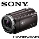 HDR-CX535-T ソニー ハンディカム デジタルHDビデオカメラ ブラウン【smtb-k】【ky】
