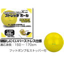 【数量限定目玉商品】ライテック ストレッチボール55cm MN120 バランスボール