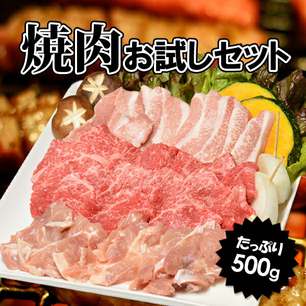 肉料理『うし源』の焼肉お試しセット たっぷり500g（約2〜3人前） 大和榛原牛A5カルビ…...:ushigen:10000503