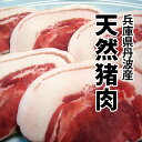天然猪肉(兵庫県丹波産)バラ肉 300g 特製スープサービス!!【ぼたん鍋】【牡丹鍋】【猪鍋】【冷凍便】