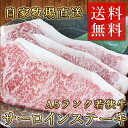【送料無料】A5ランク若狭牛・サーロインステーキ 500g ...