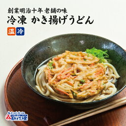 冷凍食品 かき揚げうどん冷凍うどん と うどんつゆ 野菜のかき揚げ の お取り寄せグルメ セット簡単 調理で 夜食 にも 便利！