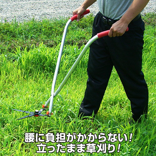 立ち作業用草刈ハサミ　 【草刈りはさみ 芝刈り 立ち作業 鋏 除草 立作業用草刈りはさみ】…...:uushop1:10006366