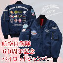航空自衛隊60周年記念パイロットジャンパー 【PX 限定 フライトジャケット ブルゾン ワッペン ミリタリー メンズ】【父の日 敬老の日 クリスマス ギフト】【送料無料】