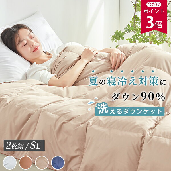 マラソンP3倍 ダウンケット 羽毛布団 夏用 5000円1枚相当 ダウン90％ 夏用掛け布団 夏布団 夏掛け布団 夏用羽毛布団 肌掛け布団 羽毛 羽毛肌掛け布団 夏 掛け布団 洗える羽毛布団 夏用 掛け布団 羽毛 夏用 羽毛布団 夏 洗える ダウンケット 洗える ダウン ケット