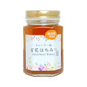 ミャンマー産 百花生はちみつ (非加熱) 180g...