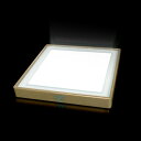 【取寄】 送料無料 アポロ科学研究所 Me Light(ミーライト) シャンパンゴールド【最先端の光技術で環境改善】
