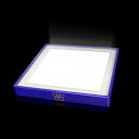 【取寄】 送料無料 アポロ科学研究所 Me Light(ミーライト)ブルー【最先端の光技術で環境改善】