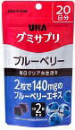 グミサプリブルーベリー20日分