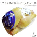 【最大1500円OFFクーポン付】フランス産 雛鳥 コクレジョーヌ