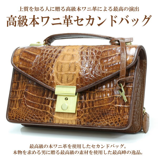 ʪˤʤʼ꿨ꡣ˳ ܳ ɥХå̵Τ뵮£롣   ܥ˳ 쥶ɥХå ֥饦 Хåˤ⡪ӥͥХå  ܳסkdsmۡkyۡpoint-05ۡsmtb-kۡky