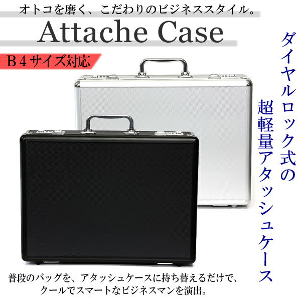 ȥ᤯Υӥͥ롣å奱Ķ̡B4Ǽ åå奱  ӥͥ 󥺥Хå  ֥åС