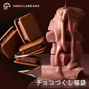 バニラビーンズ 送料無料 チョコづくし福袋 チョコレート チョコ ちょこ スイーツ ショーコラ 生チョコサンド ルビーチョコ パリトロ 抹茶 ドーナツ 切れはし カラマンダリン 詰め合わせ お得 ご自宅用 贈答用