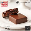 バニラビーンズ パリトロ単品 チョコレート ギフト プチチョコレートケーキ【あす楽】【VB】