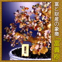 【富と財産の象徴】　富貴樹　《送料無料》貴石の花々が幸運をもたらす、富と財産の象徴