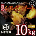 【島津甘藷】熟成紅シルクスイート 10kg(サイズ