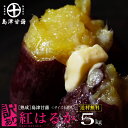 !訳あり激安!【島津甘藷】熟成★紅はるか 5kg(サイズ未選...