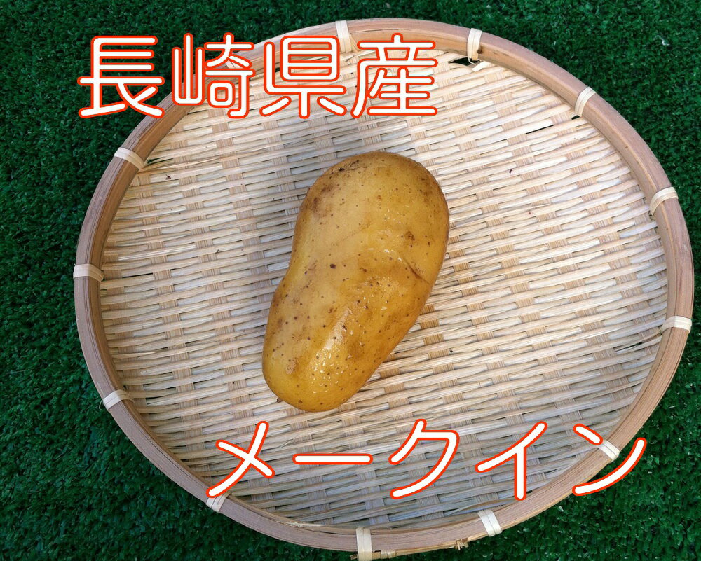 メークイン【1個】【九州産】...:vegepple:10000014