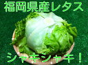 ¥ì¥¿¥¹¡Ú¶å½£»º¡Û