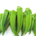 【オクラ 100g】低農薬栽培【送料別】