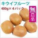 山梨県産 キウイフルーツ 無農薬栽培 400g×4パック