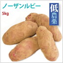 【ノーザンルビー/じゃがいも5kg】北海道産低農薬栽培。【送料無料】
