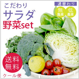 こだわりサラダ野菜セット【送料無料】...:vegetable-heart:10000141