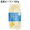 玄米ビーフン10袋 玄米粉100%の昔ながらのアジア伝統麺 120g(40g×3個入)×10袋 グルテンフリー