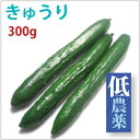 きゅうり 低農薬栽培 300g