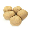 新じゃがいも/インカのめざめ 千葉県産 低農薬栽培 5kg